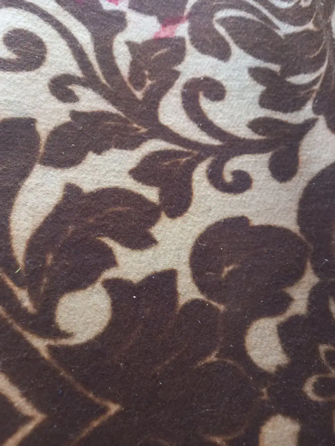 موکت در حد|موکت|قم, شهرک امام حسن|دیوار