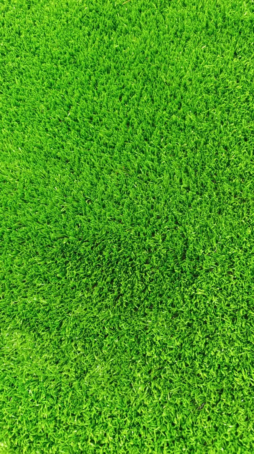 چمن مصنوعی|گل مصنوعی|ملایر, |دیوار