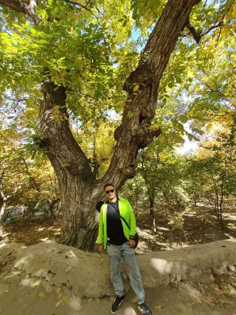 تورهای ایرانگردی و جهانگردی|تور و چارتر|شاهینشهر, سعدی جنوبی|دیوار