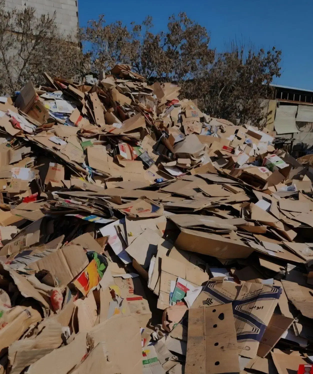 ضایعات کارتن ، آهن آلات درمحل شما با قیمت مناسب|عمده‌فروشی|تهران, صادقیه|دیوار