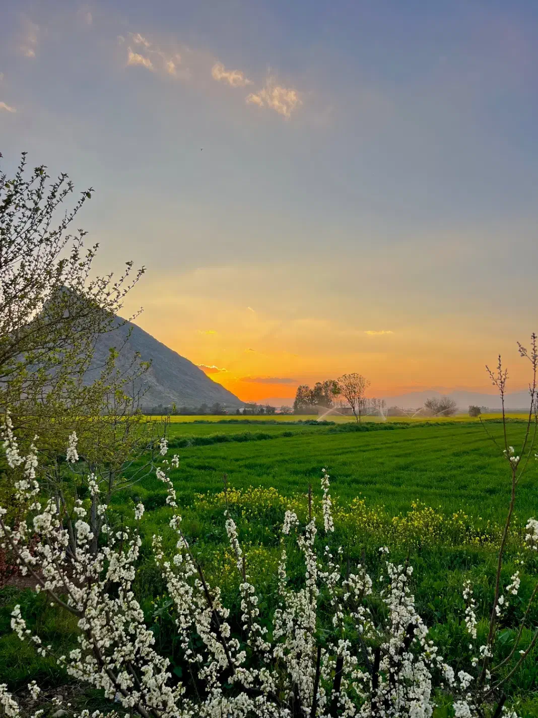 قواره هزار متری دوقلات|فروش دفتر صنعتی، کشاورزی، تجاری|فیروزآباد (فارس), |دیوار