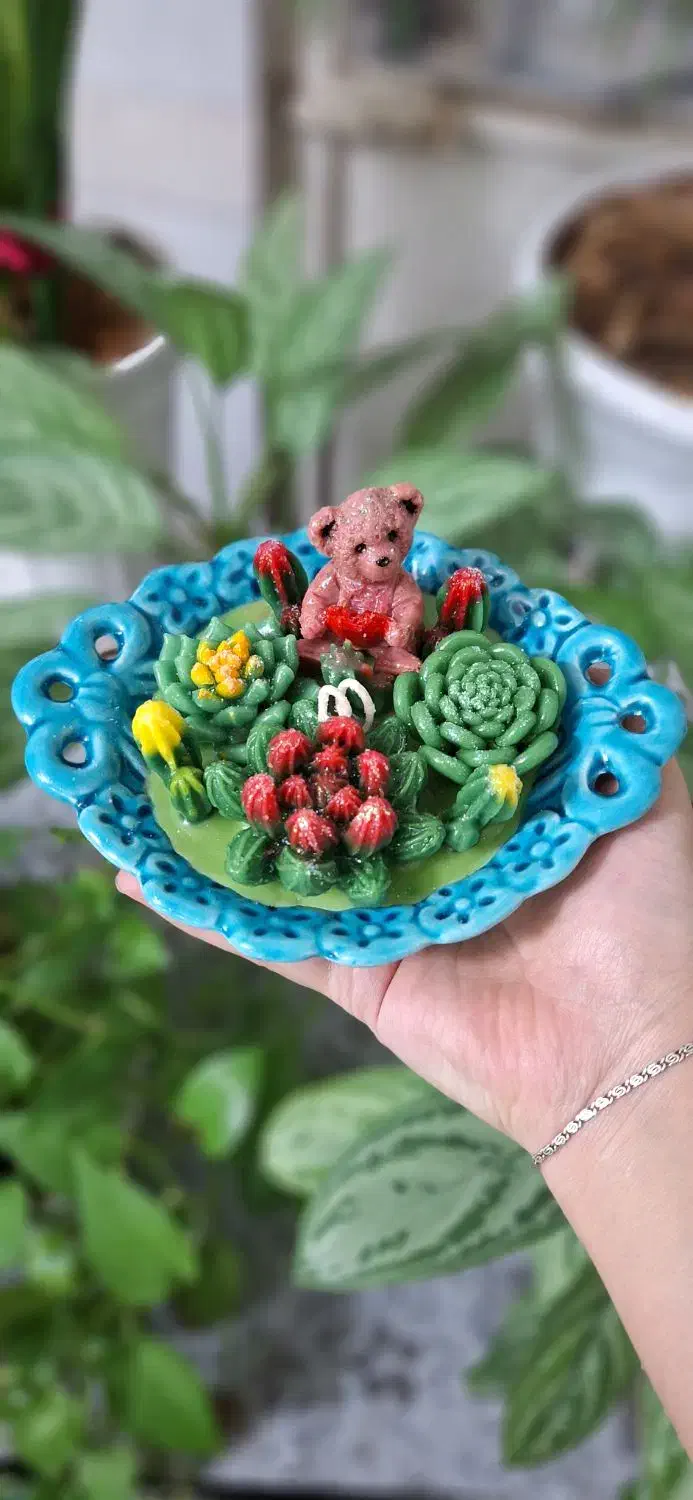 کاکتوسهای فانتزی|کلکسیون و سرگرمی|قم, هنرستان|دیوار