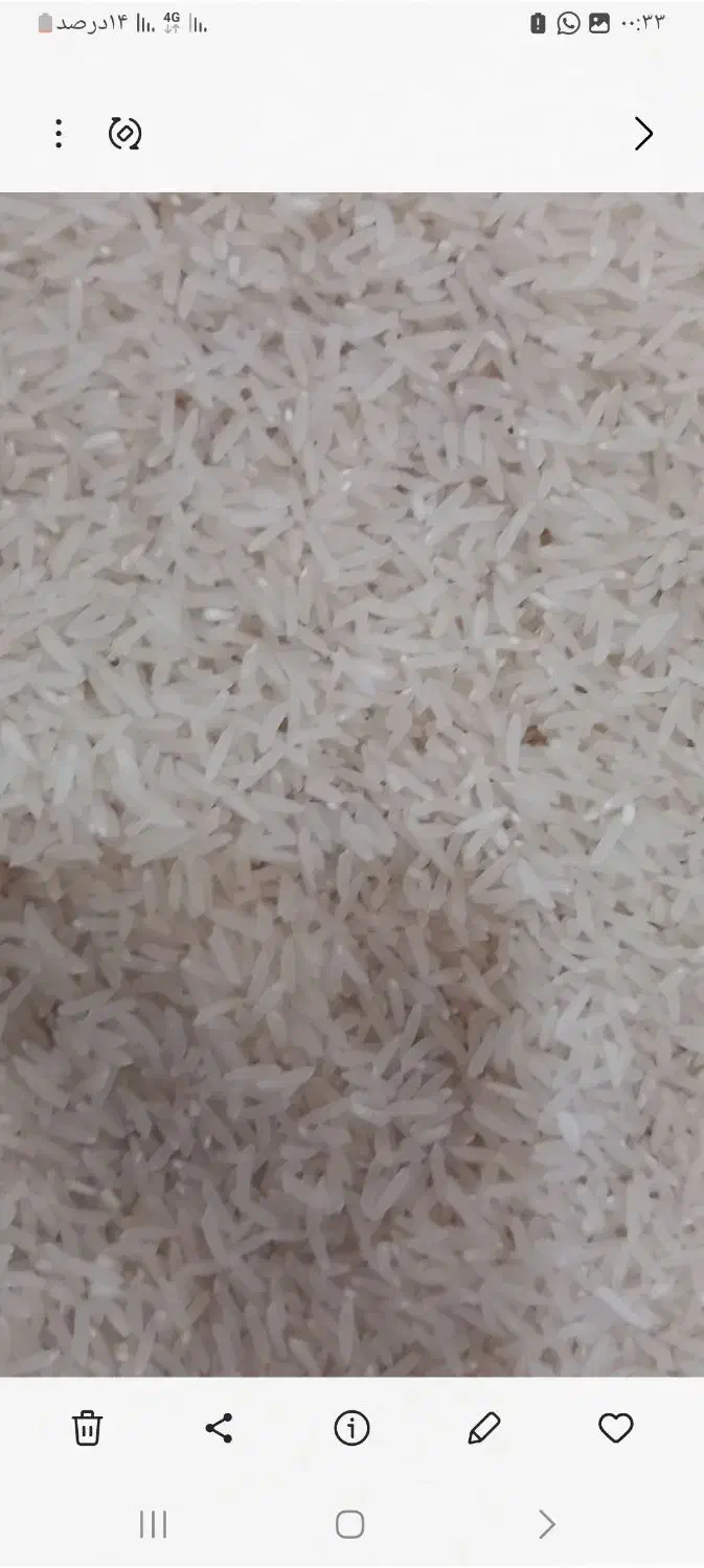 سلام برنج فجر90روزه ضمانتی اززمین خودمون هستش|خوردنی و آشامیدنی|آق قلا, |دیوار