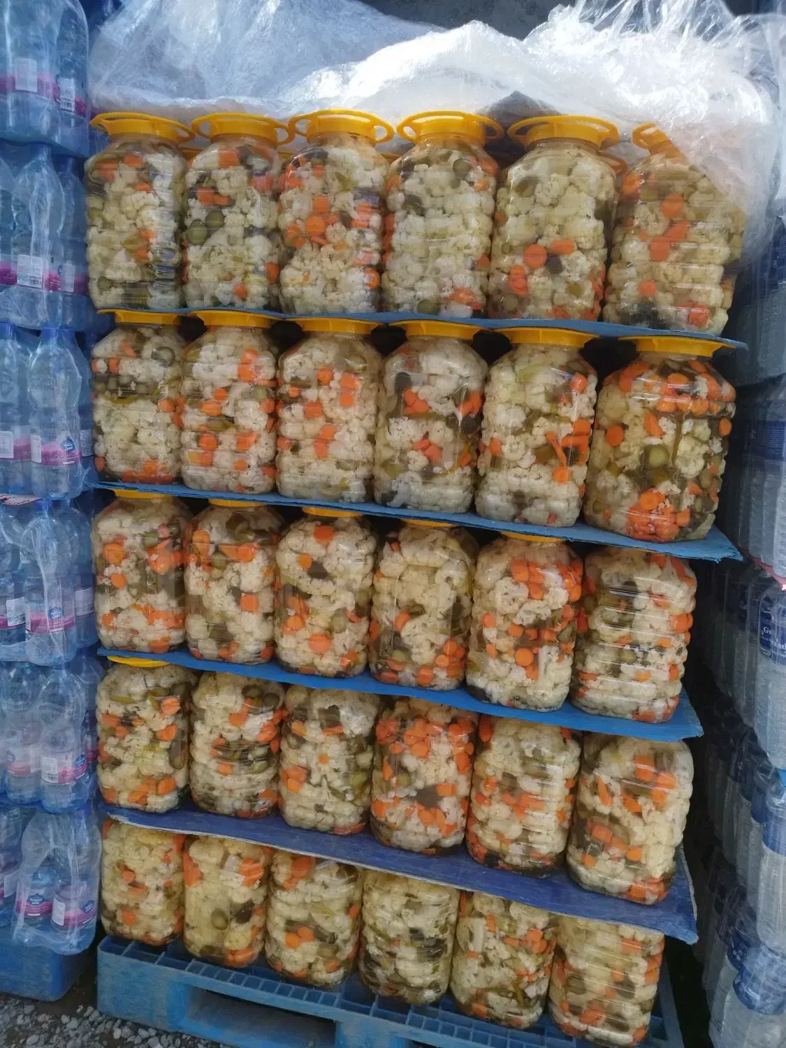 پخش خیارشور ،زیتون،ترشی،اب معدنی با قیمت مناسب|خوردنی و آشامیدنی|رشت, شهریاران|دیوار