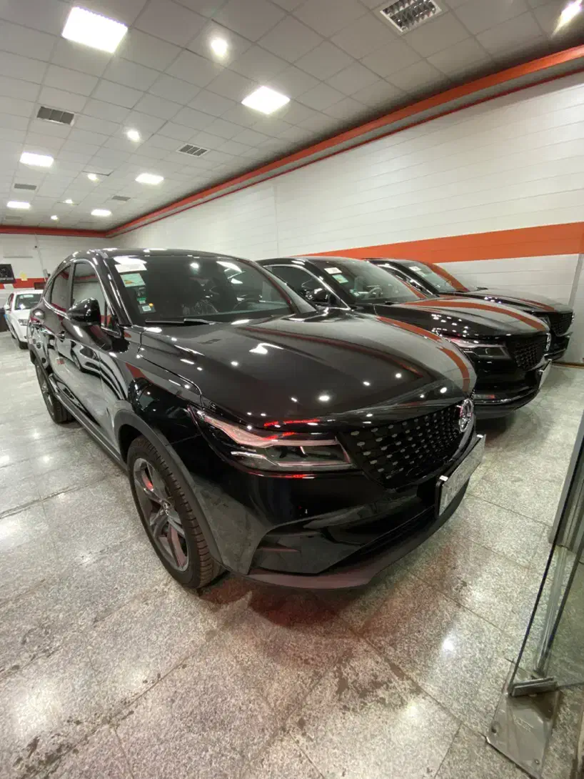 دیگنیتی پرایم‌وپرستیژ/تریم داخل مشکی/مدل1404|خودرو سواری و وانت|کرمان, |دیوار