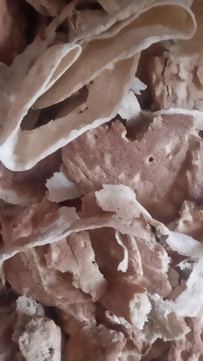 نان خشک خانگی|عمده‌فروشی|بیرجند, |دیوار