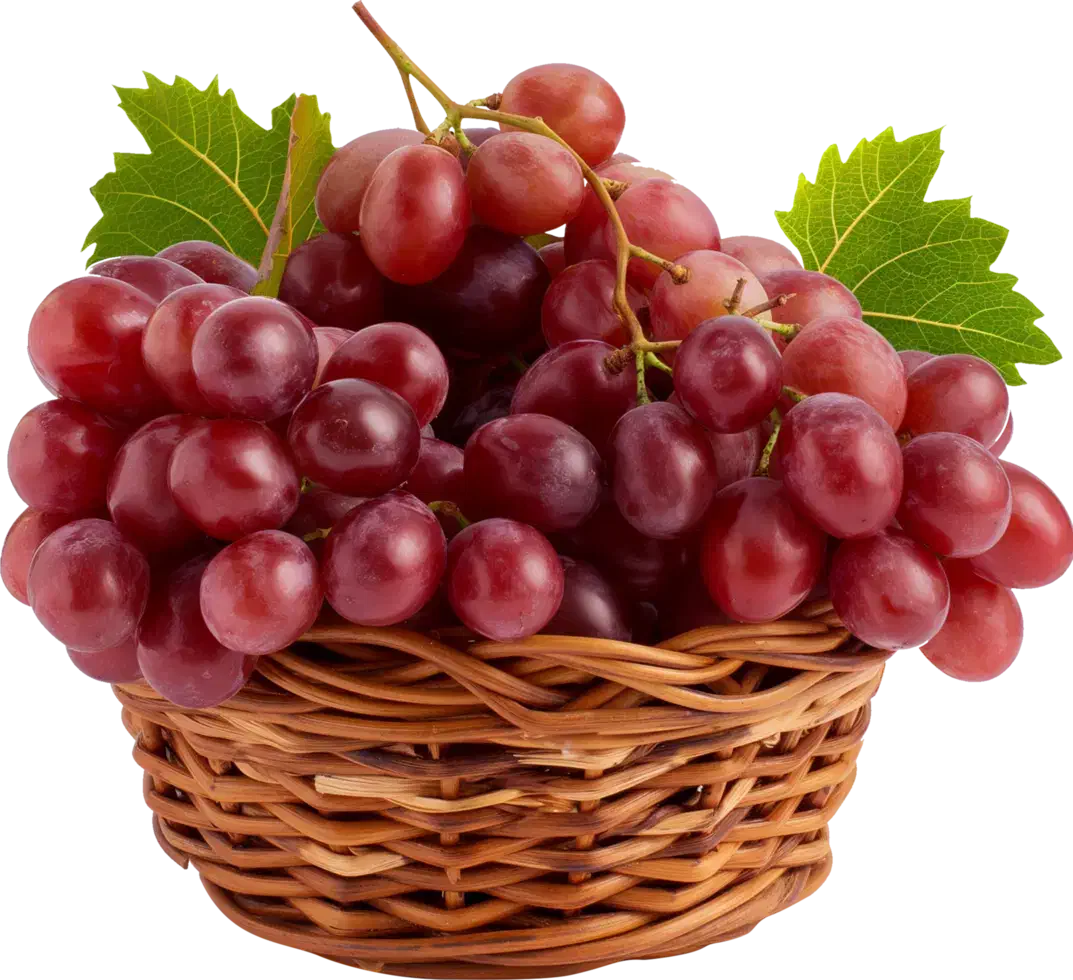 پیوند درختان میوه|خدمات باغبانی و درختکاری|بهشهر, |دیوار
