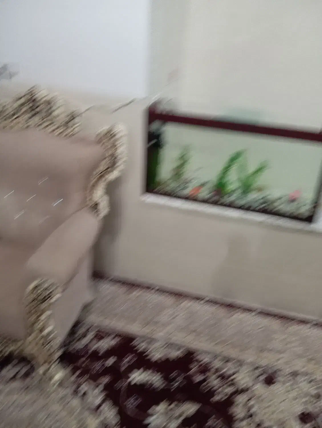 اجاره روزانه/هفتگی/ماهانه آپارتمان ۱۵۰ متری|اجارهٔ کوتاه‌مدت آپارتمان و سوئیت|یزد, |دیوار