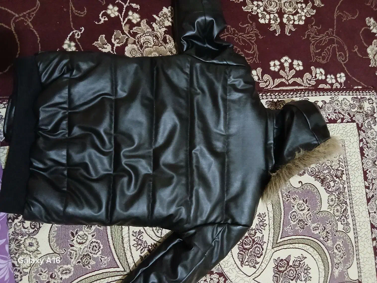 کاپشن چرم پفی|لباس|شیروان (خراسان), |دیوار