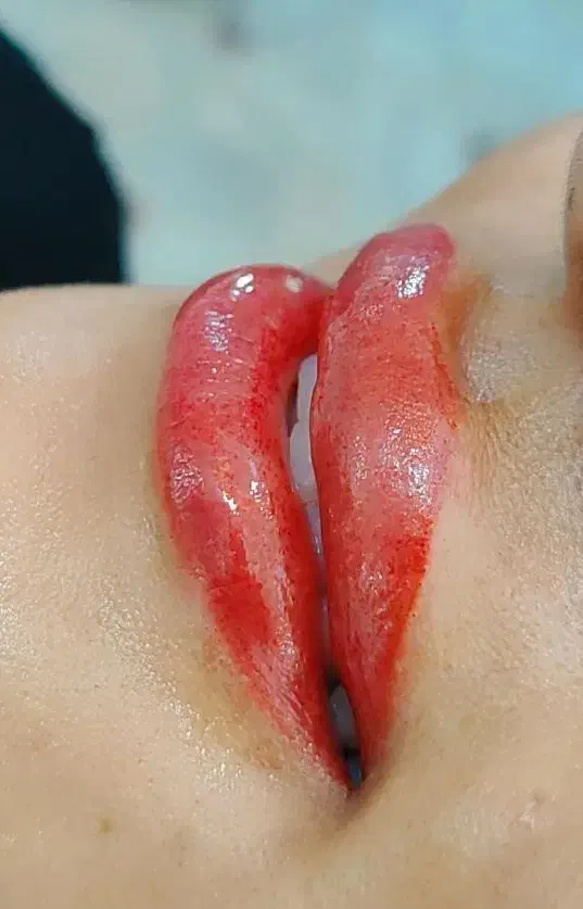 خدمات آرایش دائم با بهترین متریال ومناسب ترین قیمت|خدمات آرایشگری و زیبایی|زابل, |دیوار