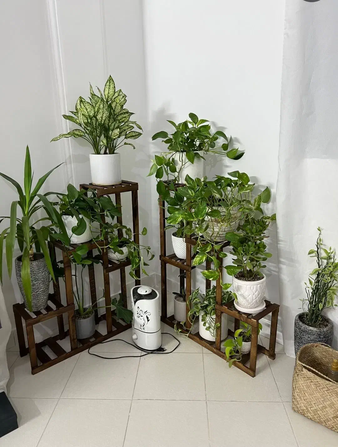 استند پایه گل روسی|گل و گیاه طبیعی|مشهد, شهید احمدی روشن|دیوار