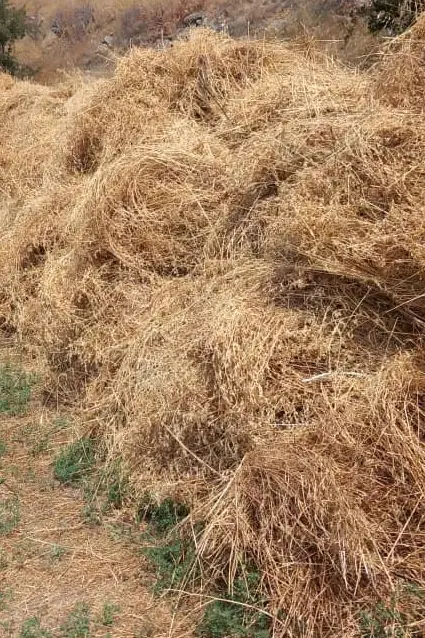 یونجه|لوازم جانبی حیوانات|نمین, |دیوار