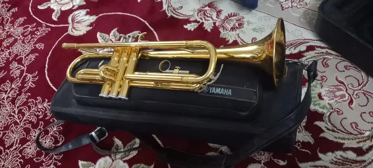 شیپوریاماها|سازهای بادی|خمینی‌شهر, |دیوار