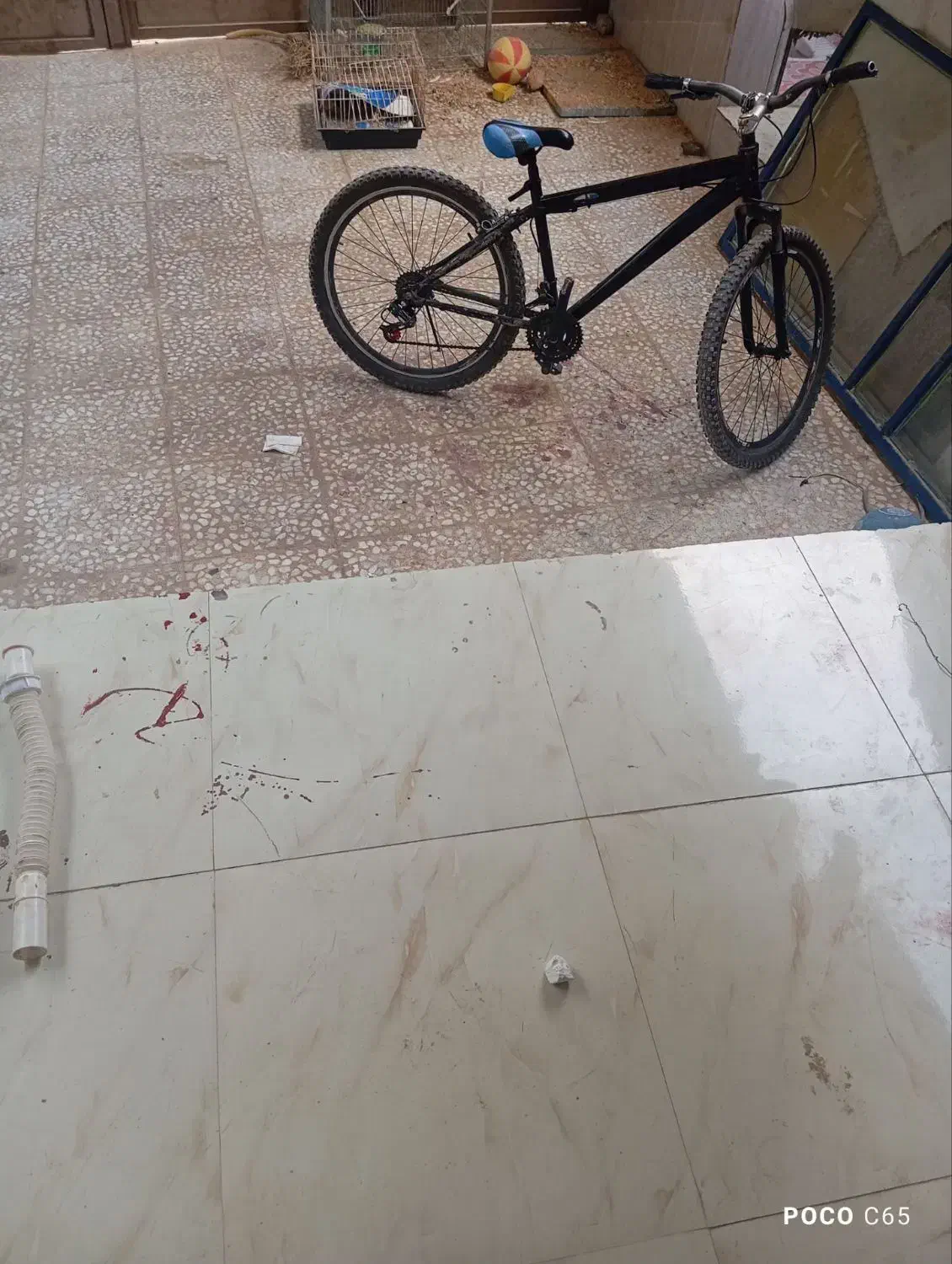 دوچرخه|دوچرخه، اسکیت، اسکوتر|کاکی, |دیوار