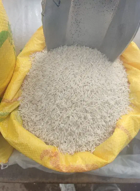 برنج شیرودی درجه یک|خوردنی و آشامیدنی|تالش, هشتپر|دیوار