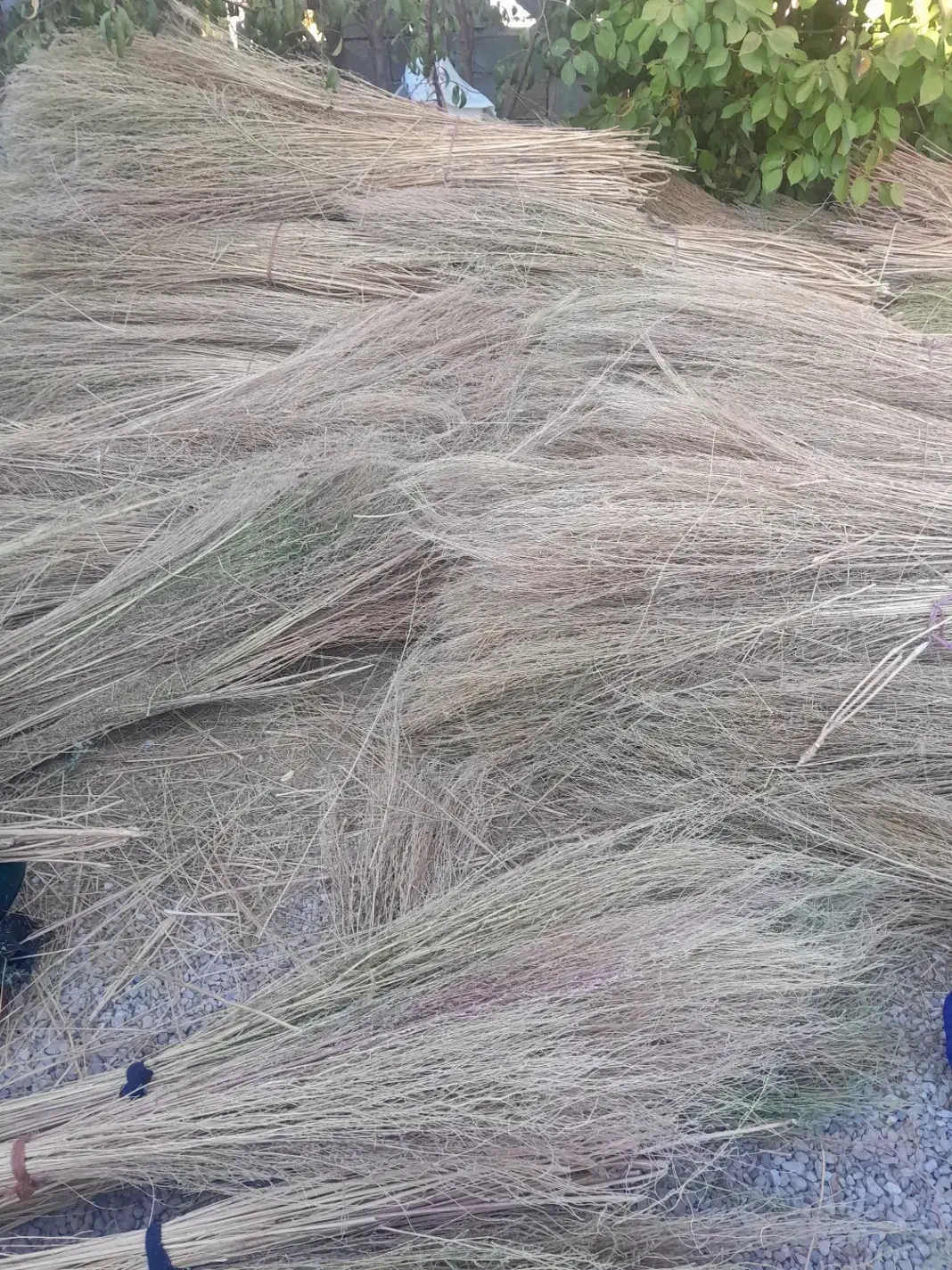 جارو شهرداری|لوازم نظافت|یاسوج, |دیوار