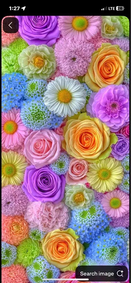 به پزشک عمومی برای مسئول فنی نیازمندیم|استخدام درمانی، زیبایی، بهداشتی|بوشهر, |دیوار