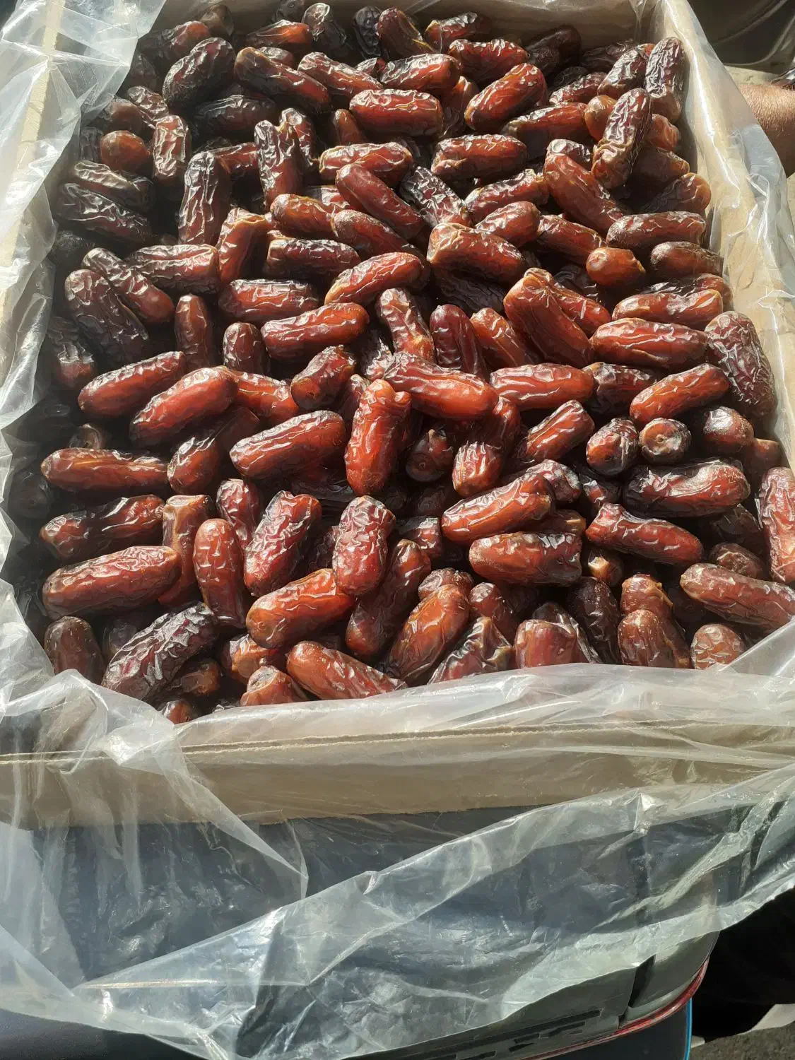 فروش انواع خرما|خوردنی و آشامیدنی|حمیدیا, |دیوار