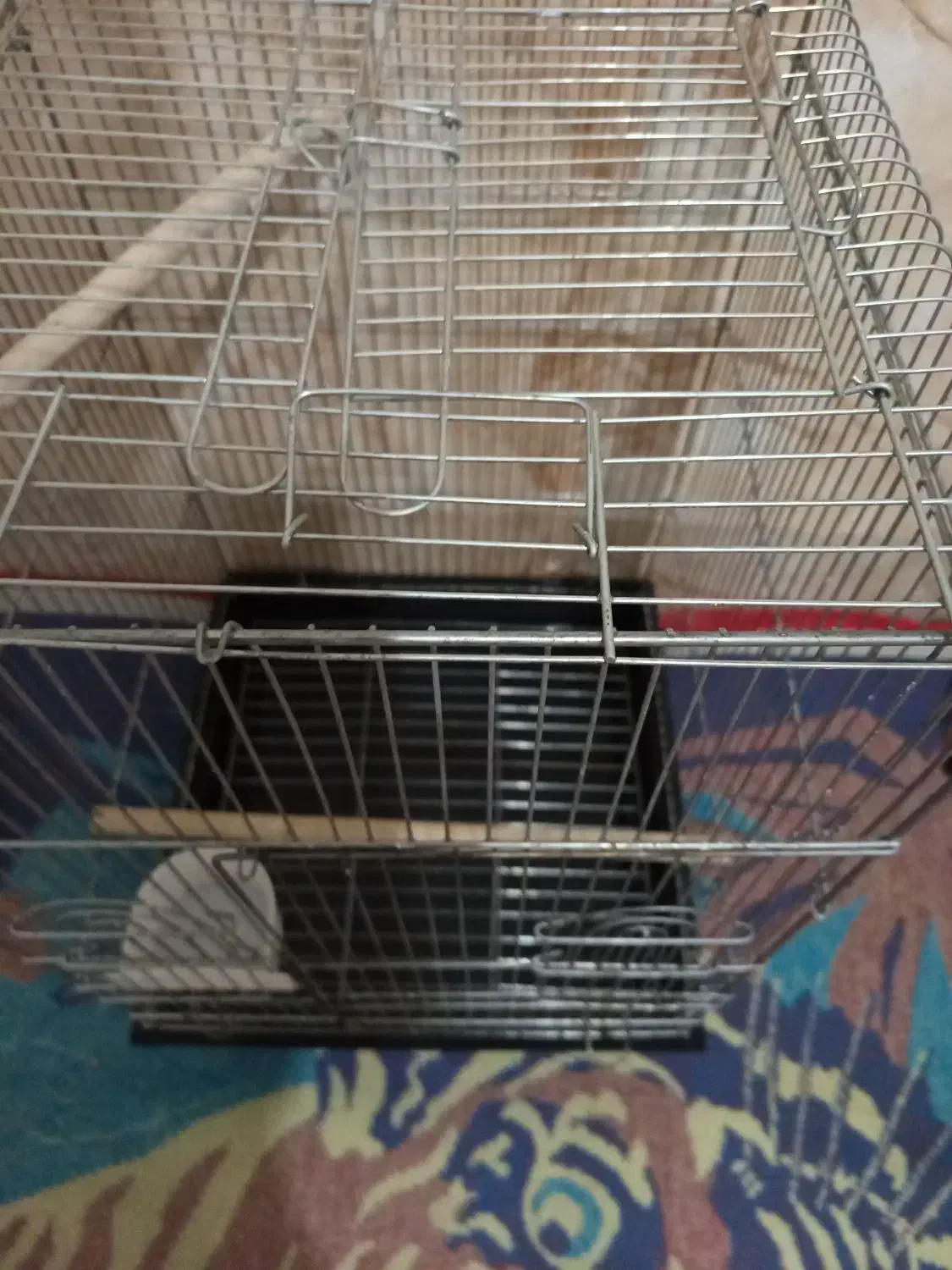 قفس|لوازم جانبی حیوانات|ارومیه, |دیوار