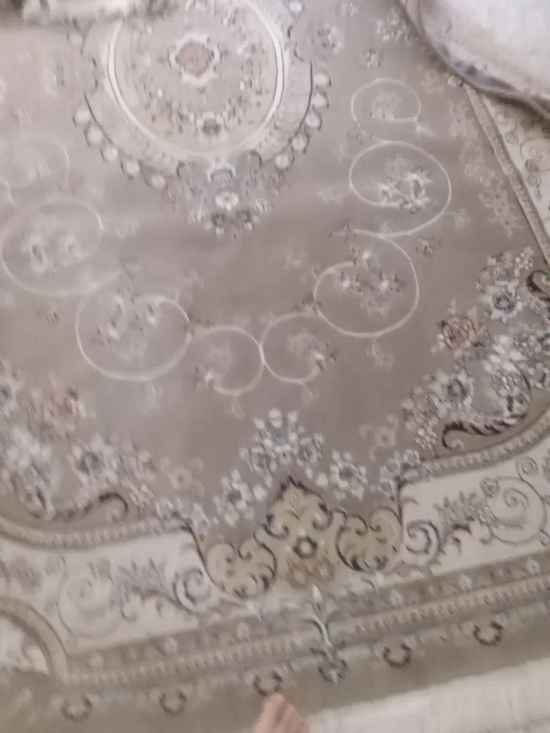 فروش فرش|فرش|همدان, |دیوار