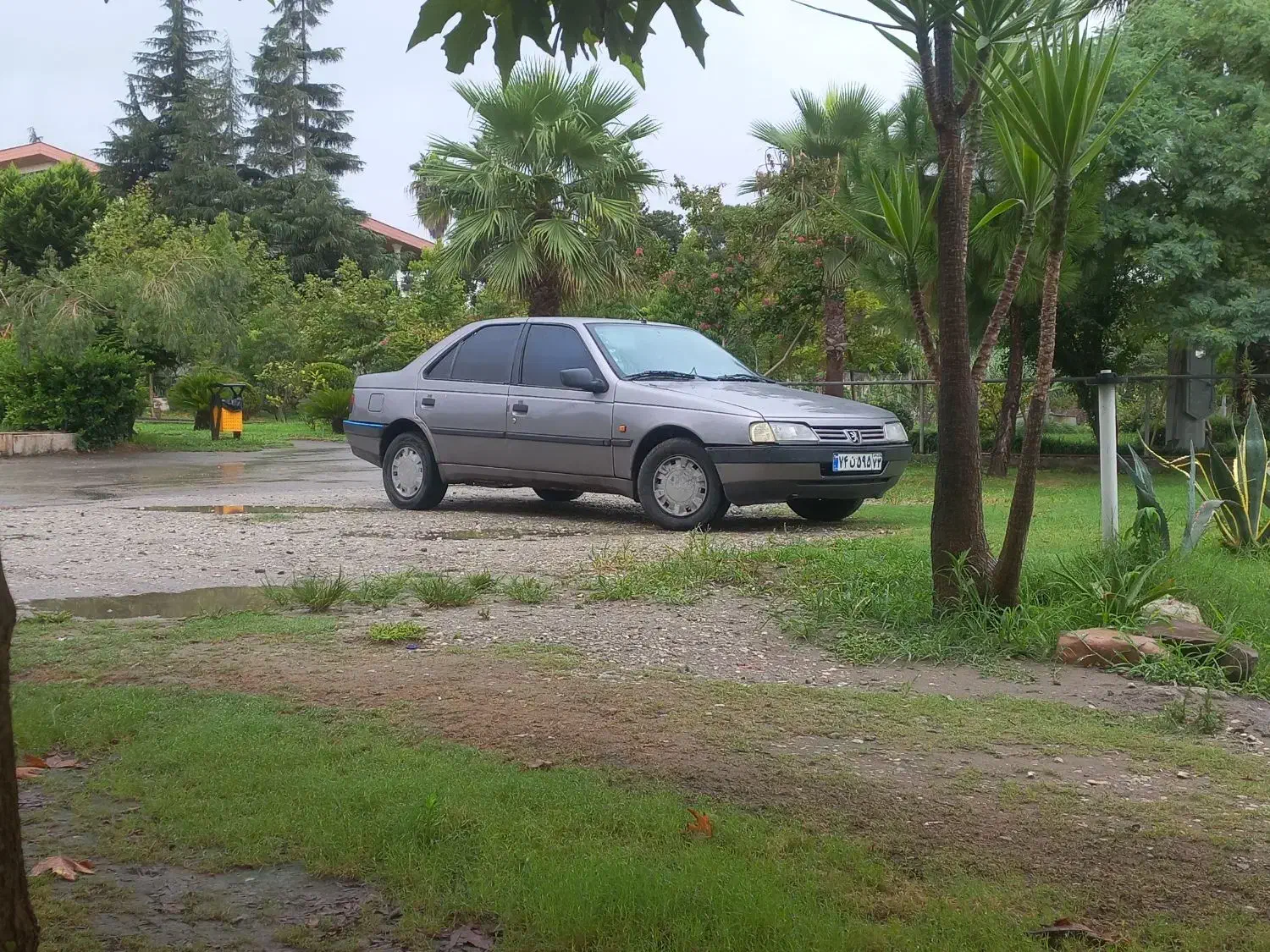 پژو ۴۰۵|خودرو سواری و وانت|نیریز, |دیوار