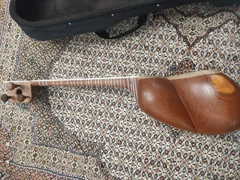 تار ایرانی بدون خط و خش|سازهای سنتی|زنجان, |دیوار