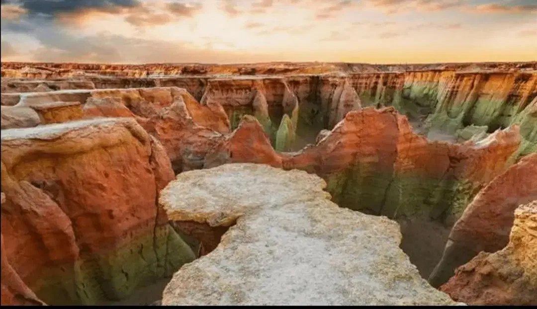 تور یک روزه VIP جاذبه های قشم|تور و چارتر|قشم, |دیوار