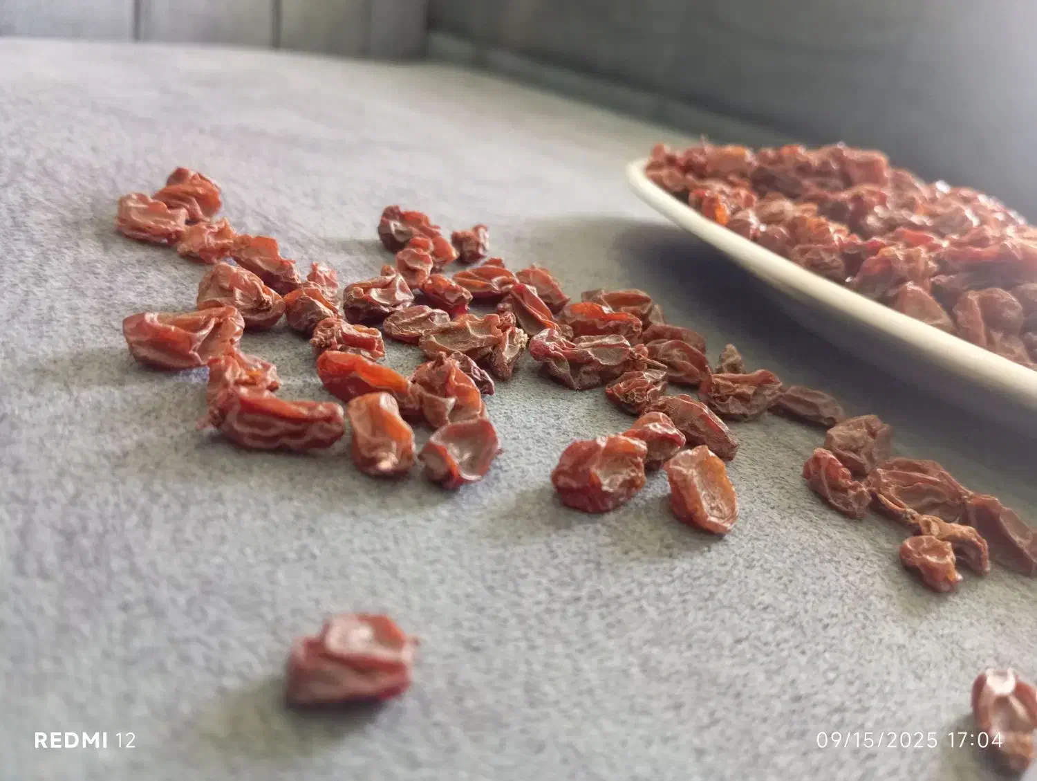 کشمش  اعلا|خوردنی و آشامیدنی|شیراز, بعثت|دیوار