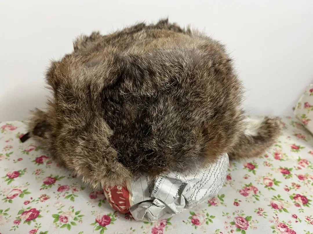 کلاه روسی اصل|لباس|اصفهان, آبشار|دیوار