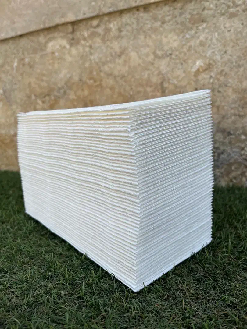 فله دستمال|مواد شوینده و دستمال کاغذی|فردوسیه, |دیوار