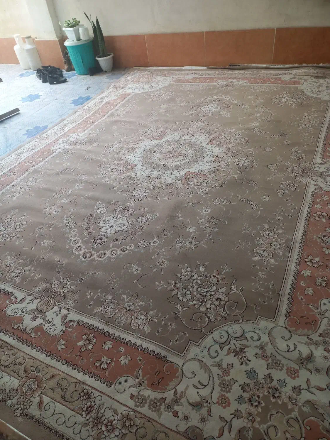 فرش|فرش|صومعه‌سرا, |دیوار