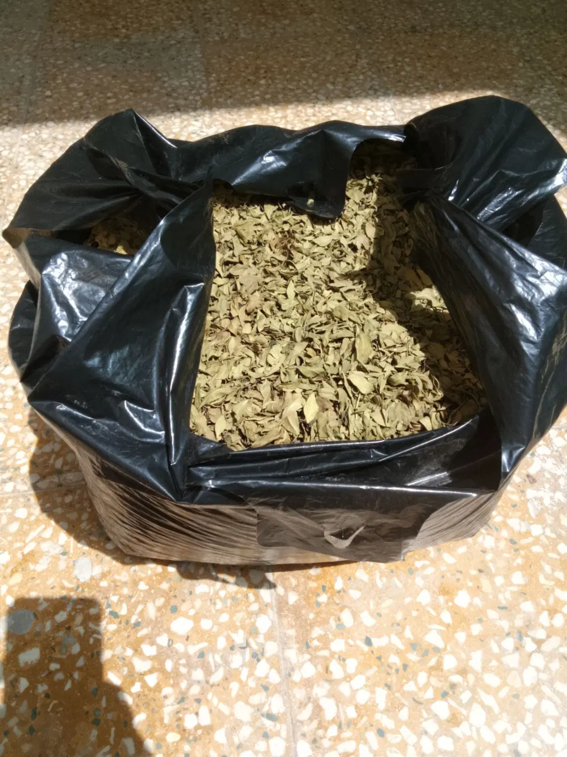 برگ حنا|گل و گیاه طبیعی|بهبهان, |دیوار
