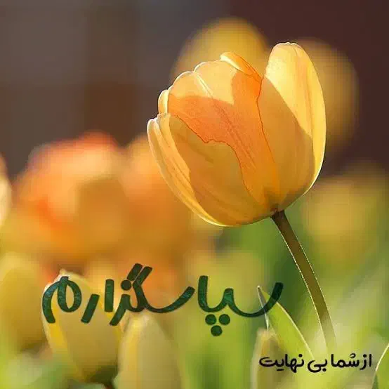 نظافتچی خانوم|استخدام سرایداری و نظافت|قم, پردیسان|دیوار