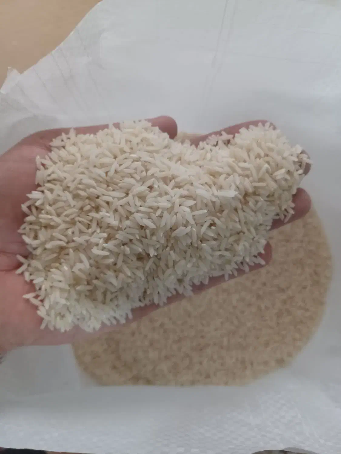 صدری هاشمی درجه یک گیلان|خوردنی و آشامیدنی|محمدیه-قزوین, |دیوار