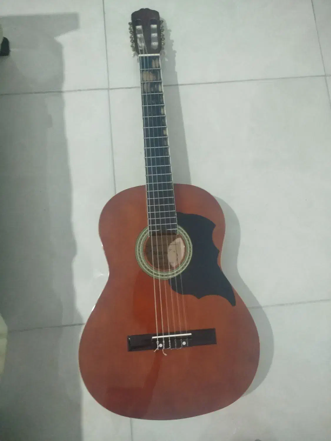 گیتار Maxine|گیتار، بیس، امپلیفایر|کرمانشاه, |دیوار