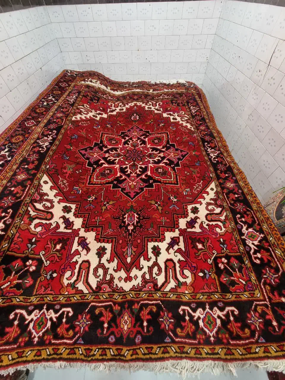 اندازه ناگواره ۱۶۵در۲/۴۵|فرش|مراغه, |دیوار