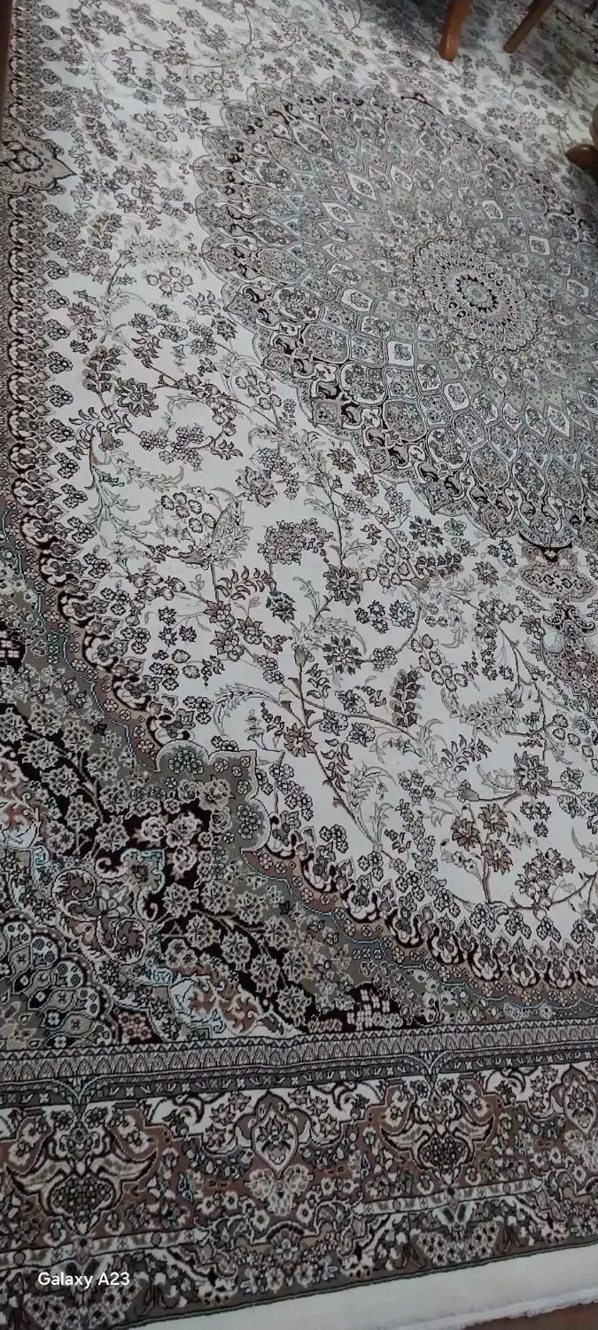 فروش قالی|فرش|دزفول, |دیوار