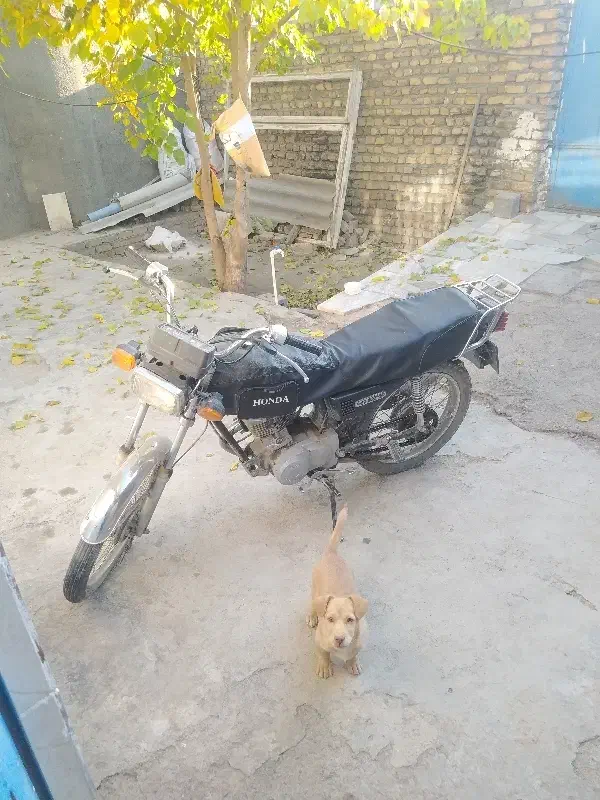 هندا 86 پلاک ملی با صند|موتورسیکلت|شاندیز, |دیوار