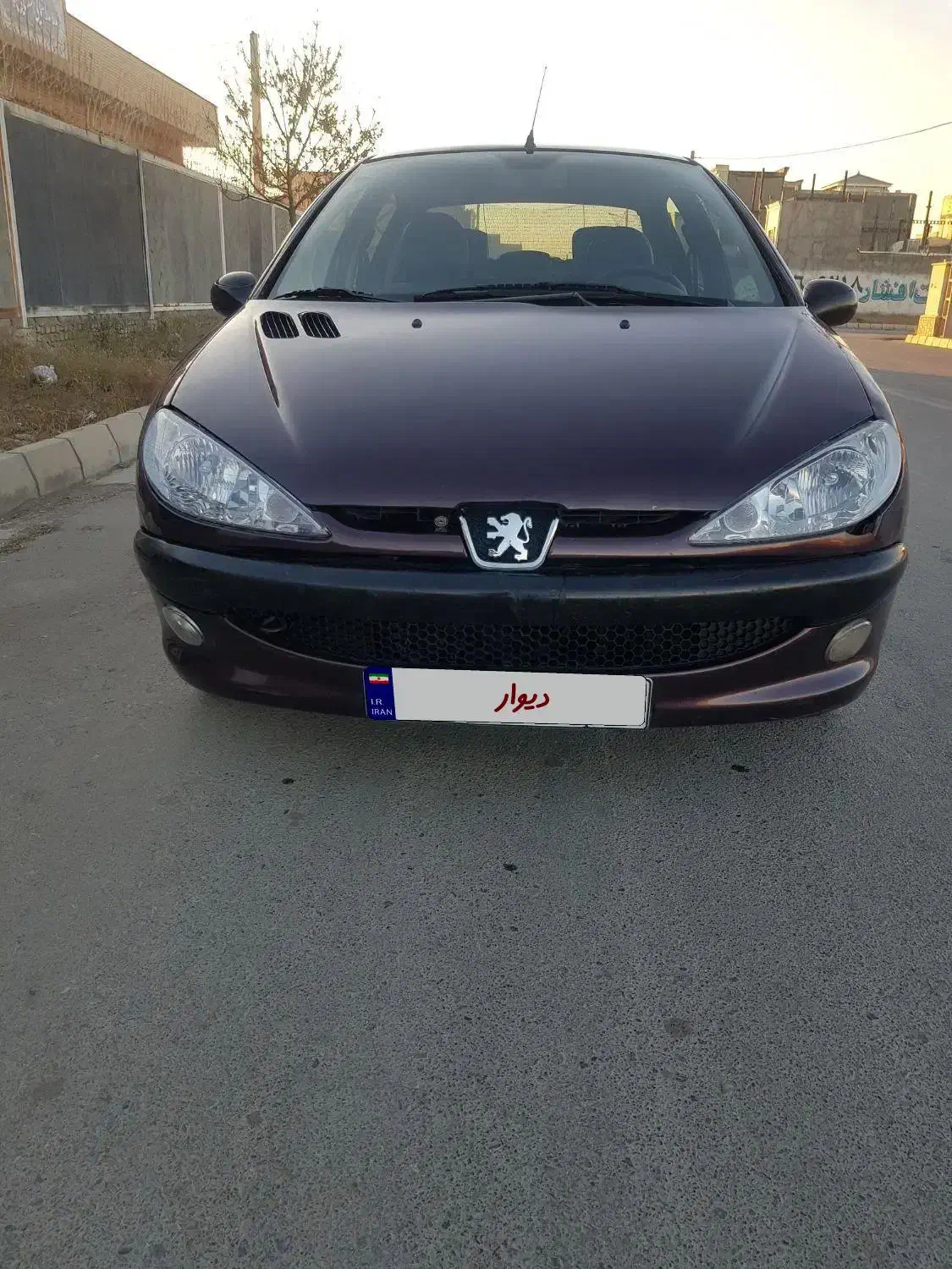 206 sd V8|خودرو سواری و وانت|چناران, |دیوار