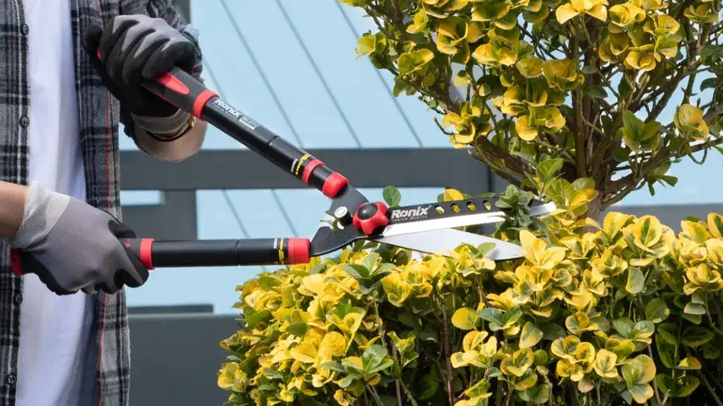 هرس و طراحی باغ انجام میشود|خدمات باغبانی و درختکاری|خان ببین, |دیوار