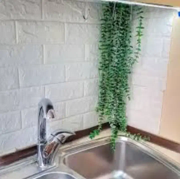 شمشاد مصنوعی|گل مصنوعی|قم, زاویه|دیوار