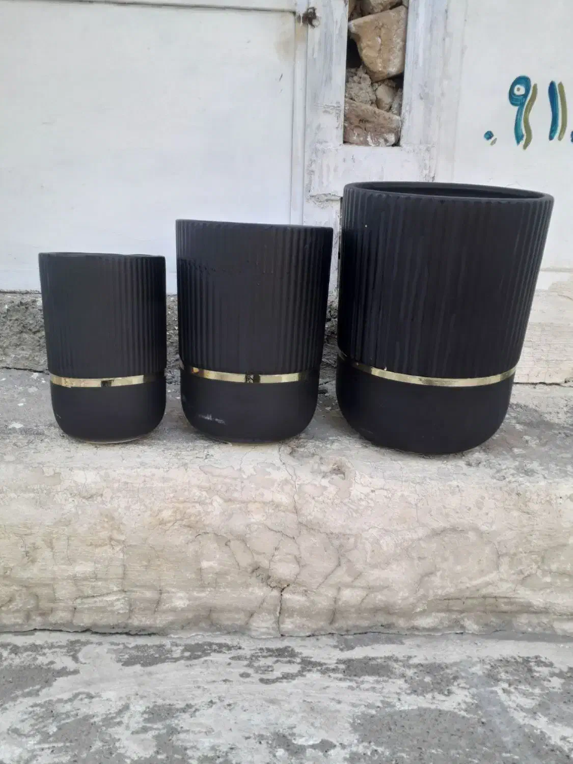 گلدان متنوع|گل و گیاه طبیعی|اسلام‌‌آباد غرب, |دیوار