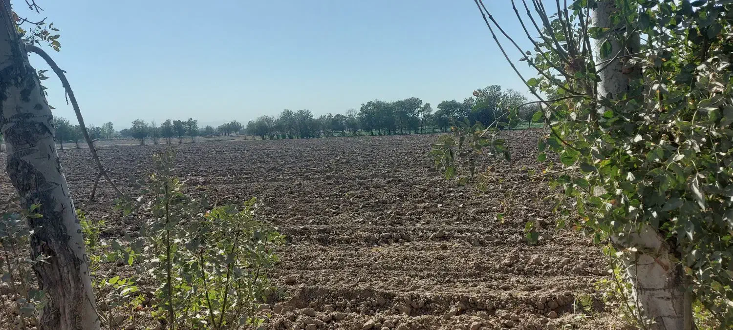 زمین کشاورزی|فروش دفتر صنعتی، کشاورزی، تجاری|ری, شهرک نظامی|دیوار