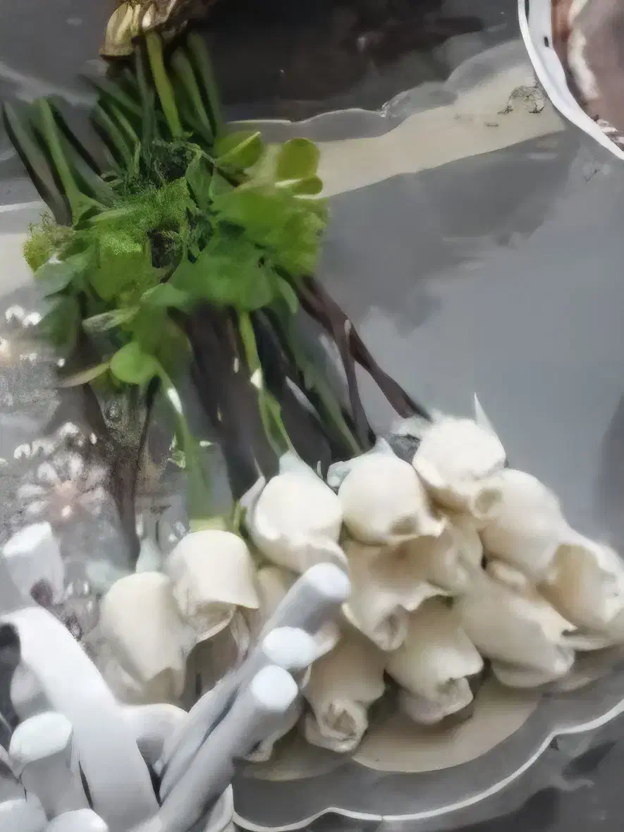 گل رز|گل مصنوعی|دزفول, |دیوار