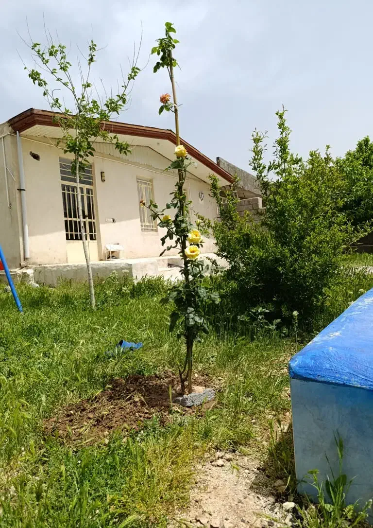 اجاره ی ویلا روزانه در سراب ایوان|اجارهٔ کوتاهمدت ویلا و باغ|ایلام, |دیوار