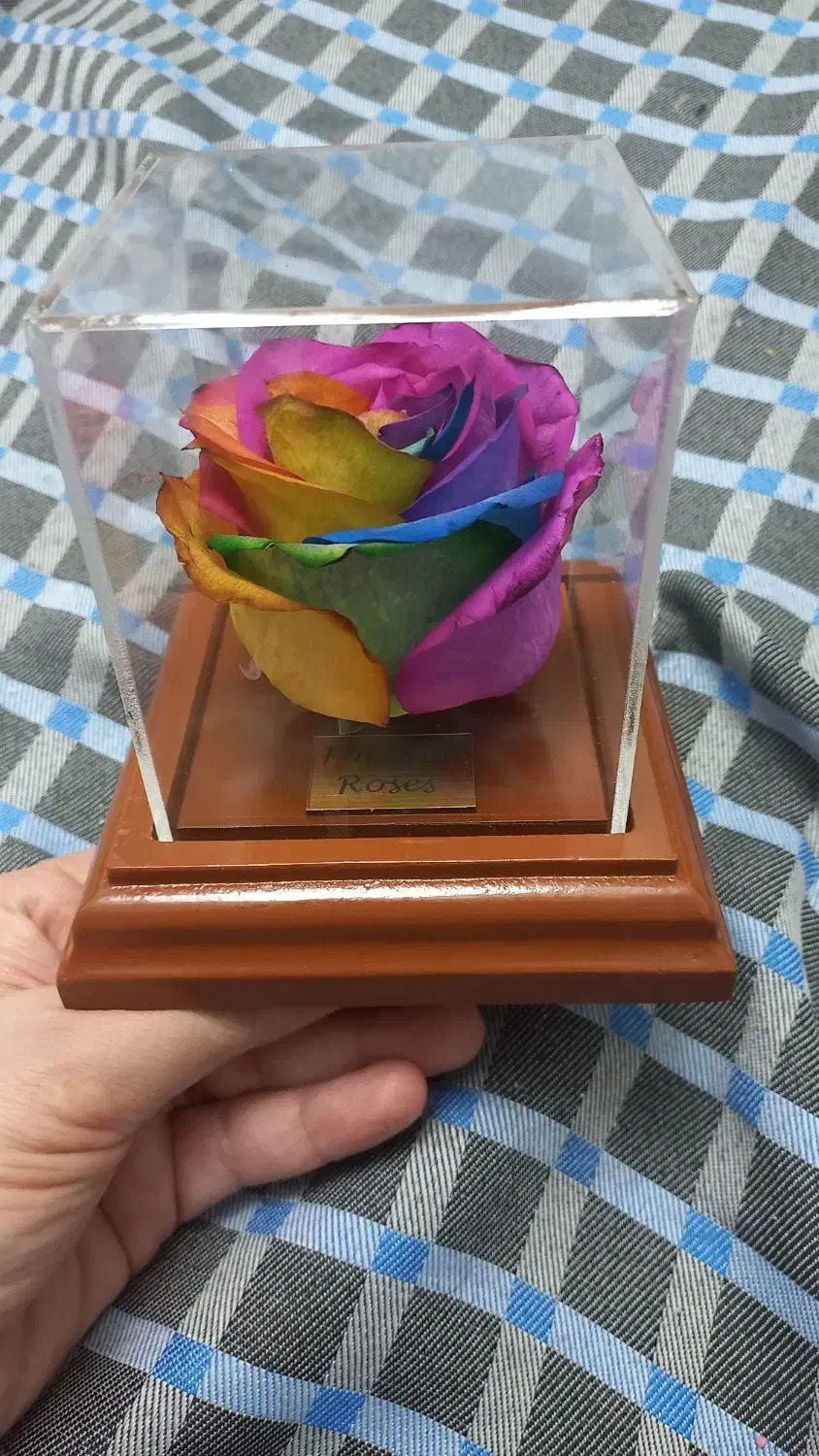 رز جاودان هفت رنگ مناسب هدیه|گل مصنوعی|تهران, شهرک فرهنگیان|دیوار