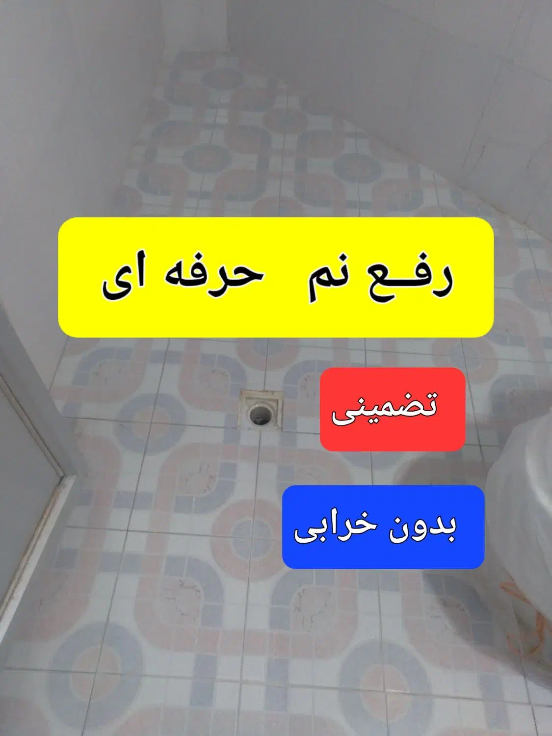 حرفه ای رفعنم   اجاره دستگاه داربست کارگراُستا|خدمات پیشه و مهارت|بجنورد, |دیوار