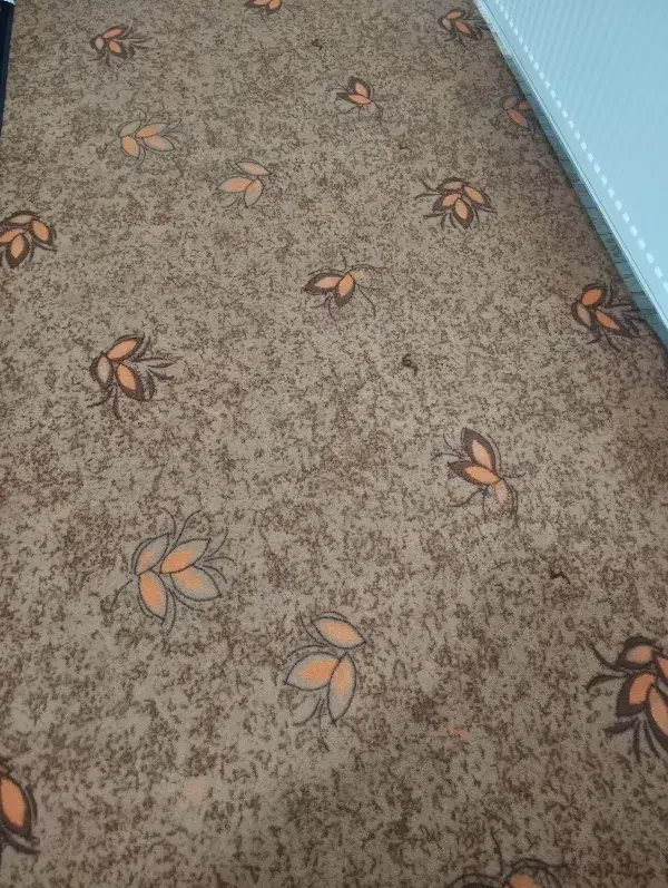 موکت دولایه گلدار|موکت|بروجن, |دیوار