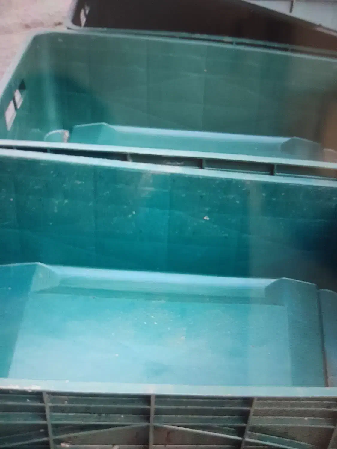 جعبه 20کیلویی|ظروف نگهدارنده، پلاستیکی، یکبارمصرف|دورود, |دیوار