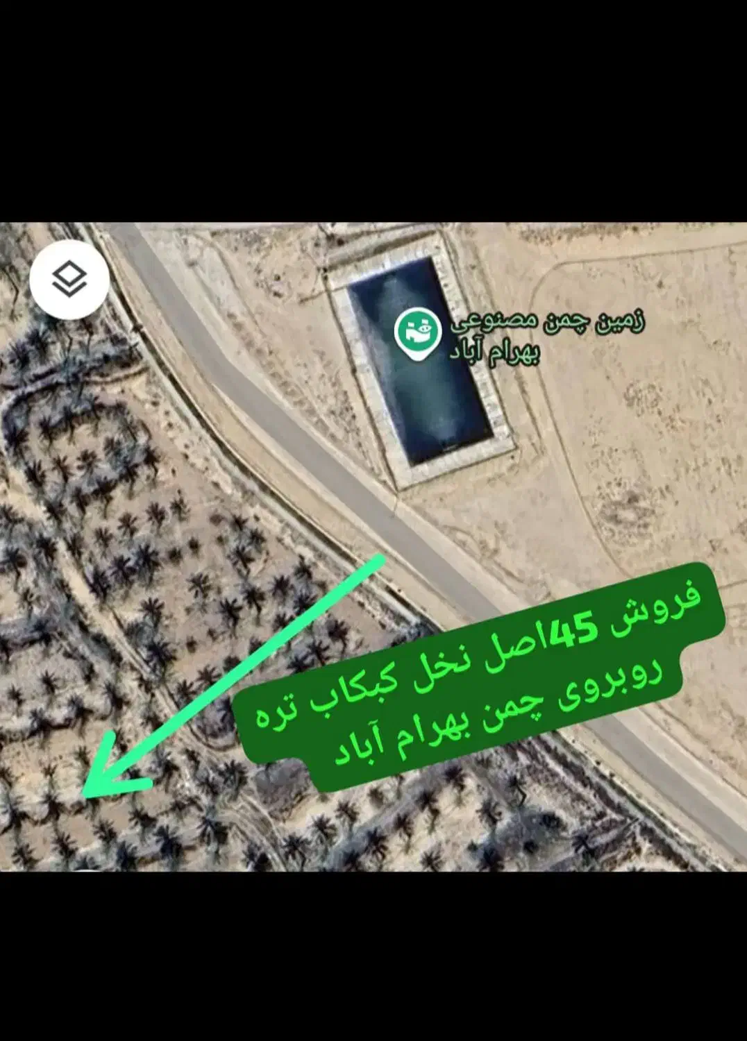 آبپخش فروش نخل کبکاب|خدمات باغبانی و درختکاری|بوشهر, |دیوار